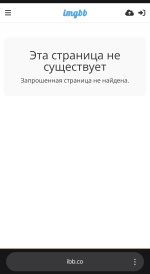 IMG_2137.jpeg