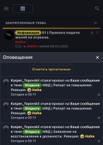 IMG_2250.jpeg
