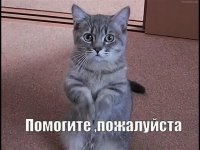 i (4).jpeg