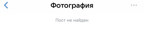 IMG_7219.jpeg