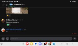 Screenshot_20260522_224856_Lolka.jpg