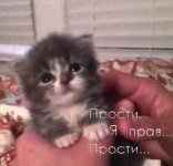 1000019076.jpg