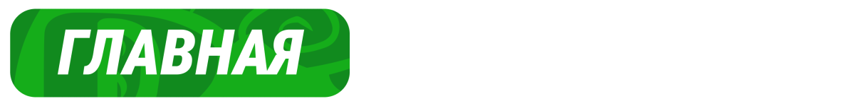 529.png