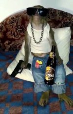 загрузка (11).jpg