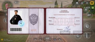 17557.jpg