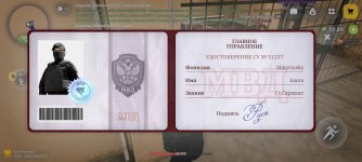1000018933.jpg