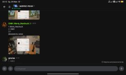 Screenshot_2026-06-24-22-12-11-481_com.lolka.jpg