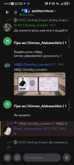 Screenshot_20260628_220345_com.lolka.jpg