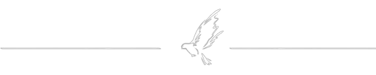 6381-removebg-preview.png 6381-removebg-preview.png