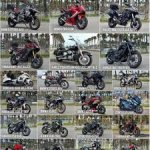 images (13).jpeg