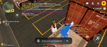 3875.jpg