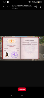 Screenshot_20260828-133329.png