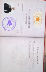 IMG_2387.jpeg