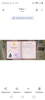 Screenshot_20261009-073432.png