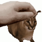15777.gif