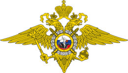 d4366f884a8e45bf995359891e516c4c.png