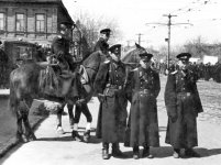 IMG_0829.jpeg IMG_0829.jpeg