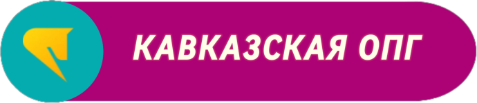 IMG_20251108_011721_241.png IMG_20251108_011721_241.png