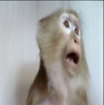 Screenshot 2025-11-19 195924.png