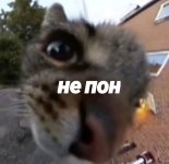 не пон.jpg не пон.jpg