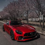 Sasha_Moskowskiy
