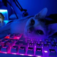 Rexmerno_Aquamarenx