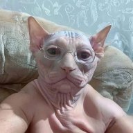 Vadik_Vorobev