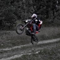 Artem_Radicev