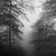 Alexey_Panchuk