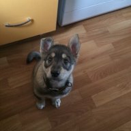 Artem_Gydvin