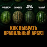 Savelij_Snegiref