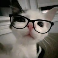 Felix_Kirilov