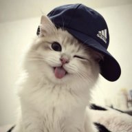 Pasha_Litvinov