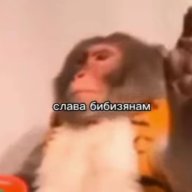 Avtandildze_Weazqueze