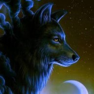 Seth_Volkov