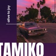 tamik yulin