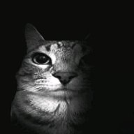 Fill_Kotov