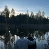 Alexander_Yashin