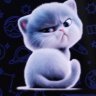 Sasha_Cheh