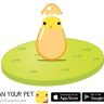 Dima_Nelis