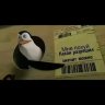 Tommy_Knyaz