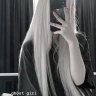 ALEXANDERA_ELKINA