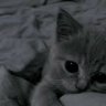 Anatoliy_Bulgarin
