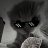 Danil_Plotonov