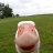Alexander_Lipach