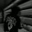 Chapix_incognito