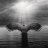 Nikolay_Gross