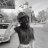 Santiago_Termis