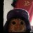 Maksim_Kod