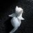 Frozzi_Guasparre